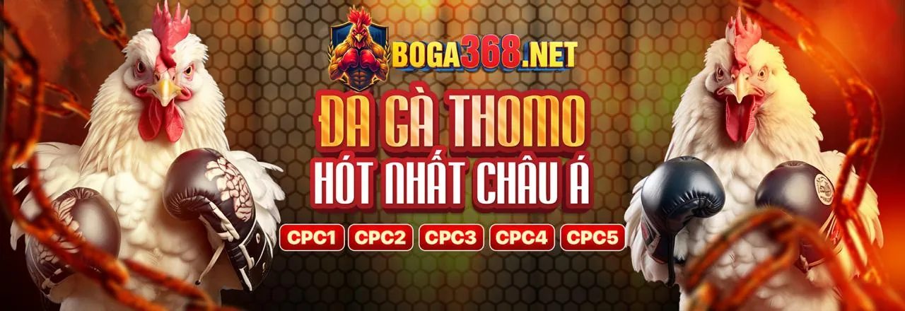 Hình ảnh chính trang đăng nhập mc876 an toàn và hiện đại